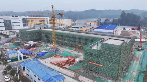 筑牢产业高地 抢跑低氘新赛——重庆小氢炮饮品项目冲刺首季“开门红”